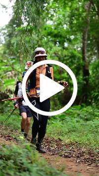 BIB:  <button type="button" onclick="openModal(26824395)" class="btn btn-primary btn-sm float-right" data-toggle="modal" data-target=".modal-high-quality">
                <i class="fa fa-download"></i> Download
                </button>